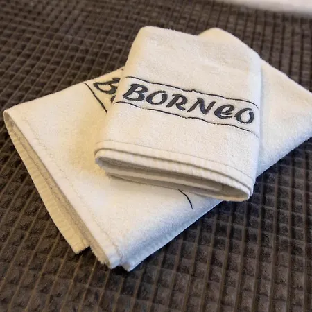 Borneo Hotel Pancevo